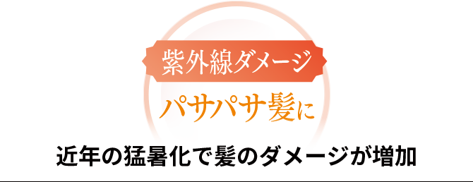 近年の猛暑化で髪のダメージが増加