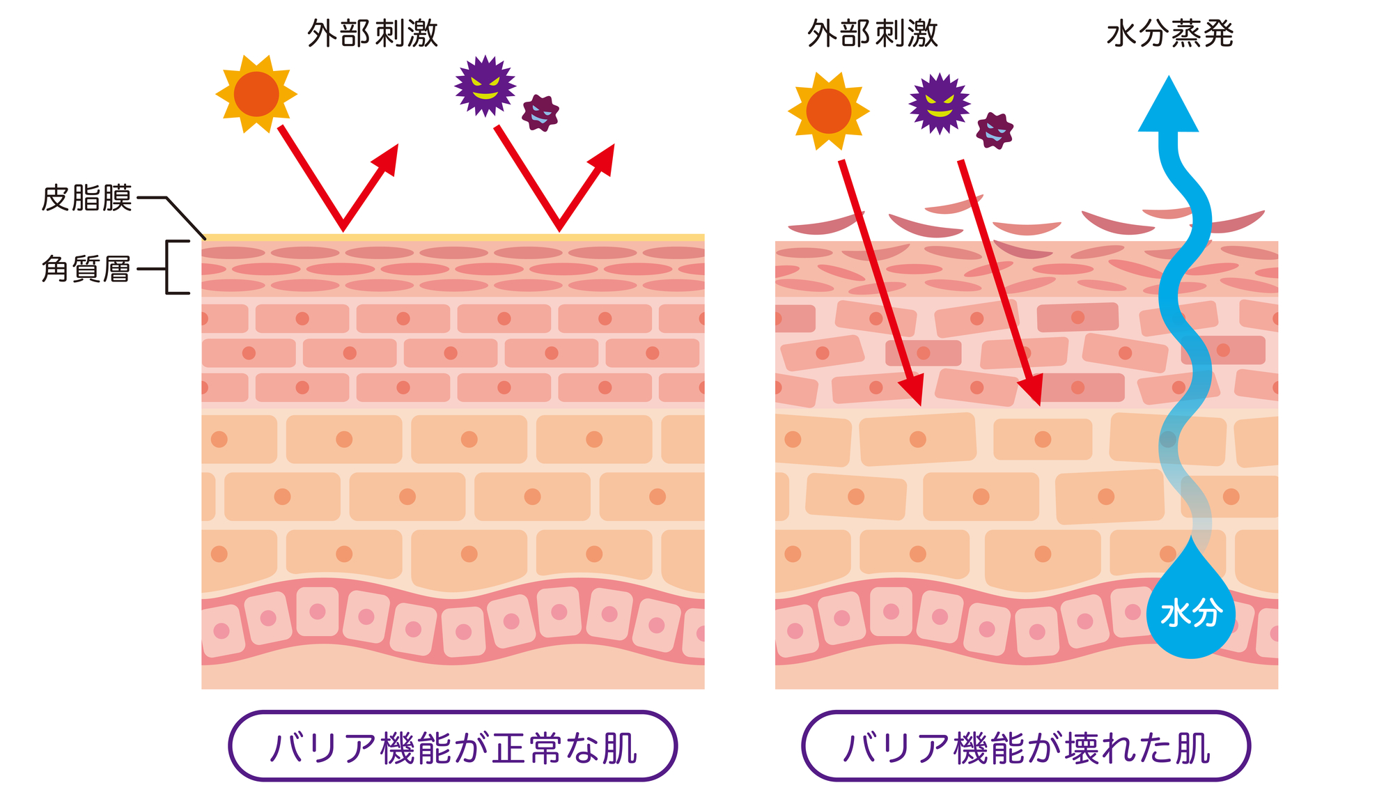 紫外線バリア画像